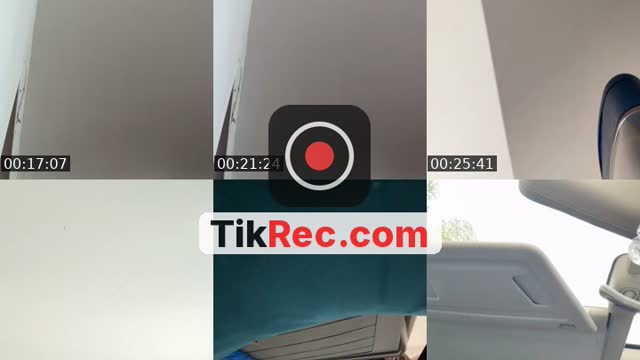 @laplusbellelionne TikTok live