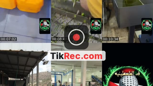 @taznemoo TikTok live