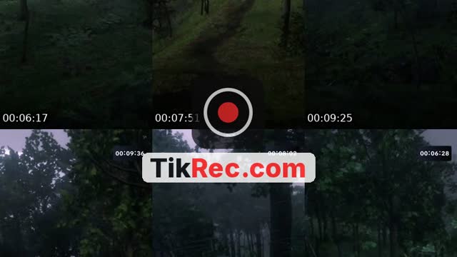 Live Game Red Dead Redemotion 2 - @biggrith