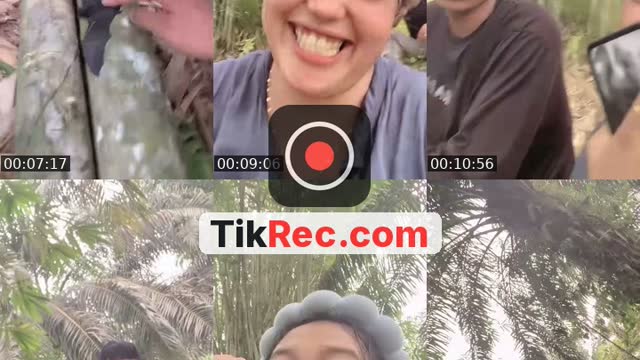 @fika62082 TikTok live