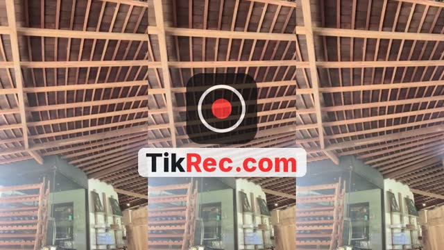 @igasintya.0 TikTok live