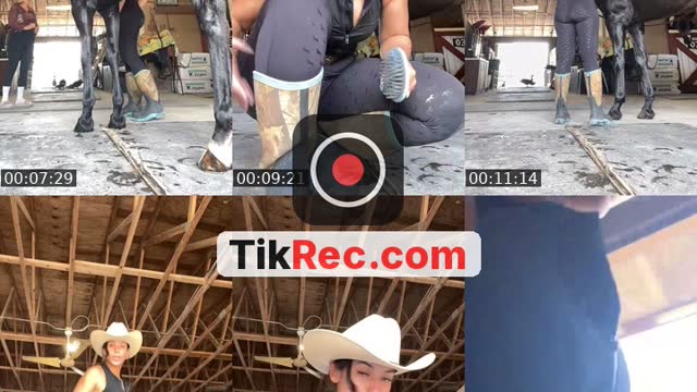 @janelleesoto TikTok live