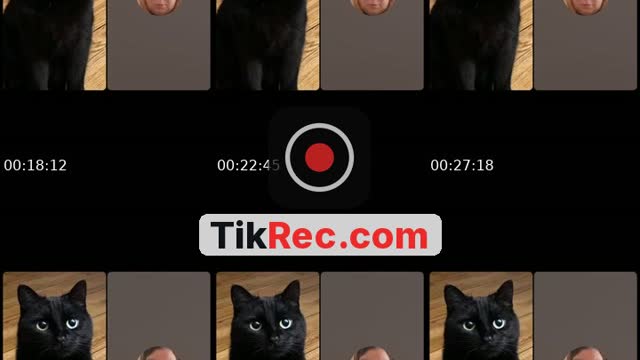 @lambajeva TikTok live from 2026-10-18