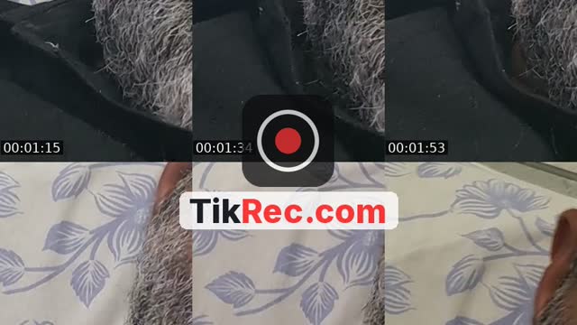 @anonymousprofilepk TikTok live