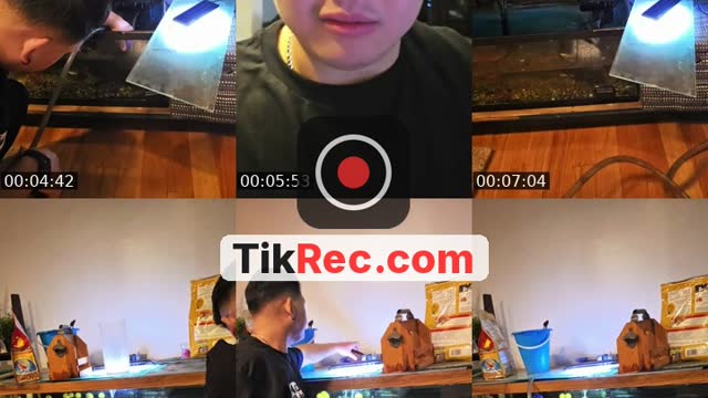 TikTok live: wok30000 by @jasonlin200