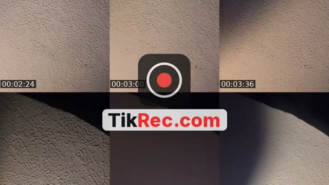 @steff.monte TikTok live