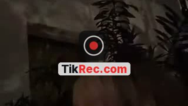 @leslieshawoficial TikTok live
