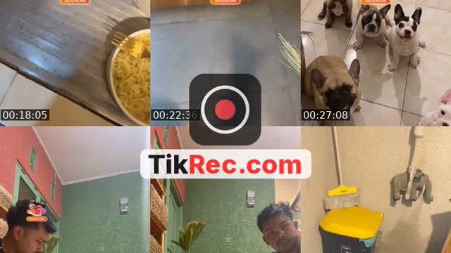 @ibusambung TikTok live from 2026-10-19