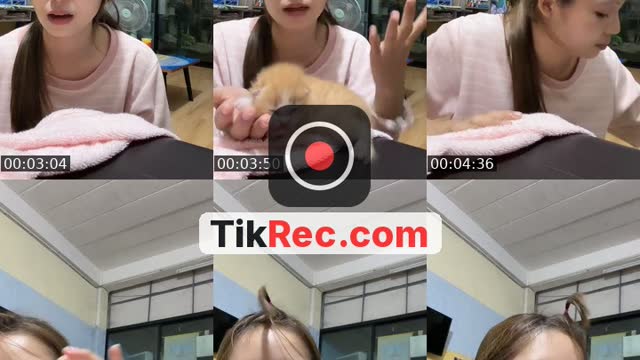 @beebeam47 TikTok live