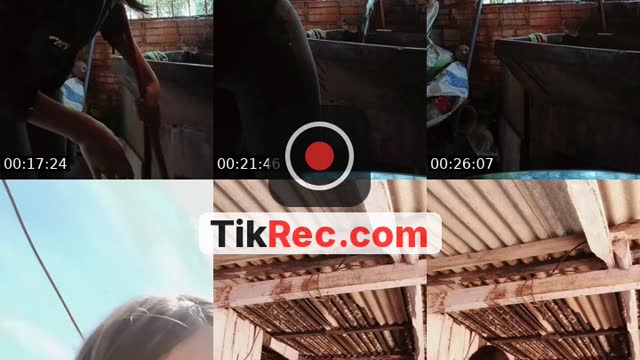 @melgarejomabel_ TikTok live from 2026-10-19