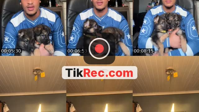 @liam_grey_ TikTok live