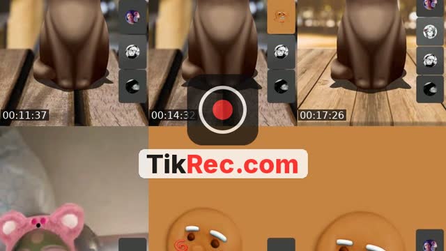 @sofiazonzini1 TikTok live from 2026-10-19