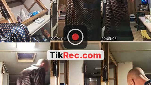 @animalsplay TikTok live from 2026-10-20