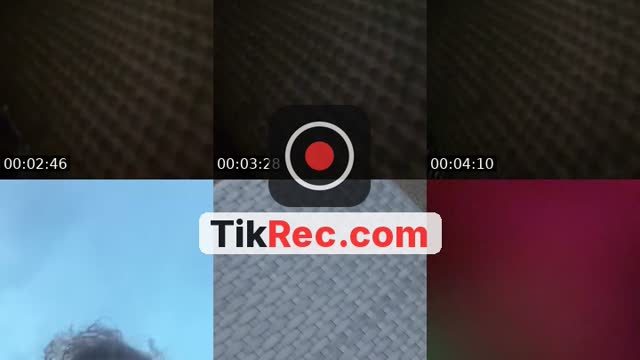 @manilla.felipe TikTok live from 2026-10-20