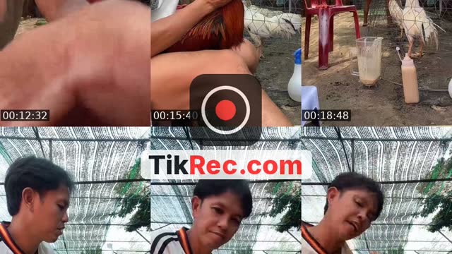 @heoluoc84 TikTok live