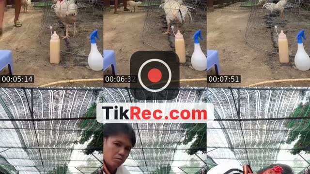 @heoluoc84 TikTok live