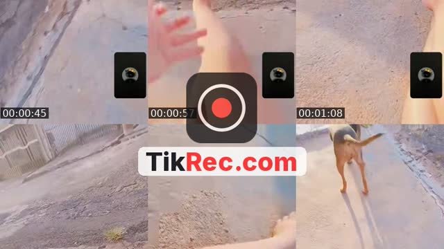 @angelicaemanuelli5 TikTok live