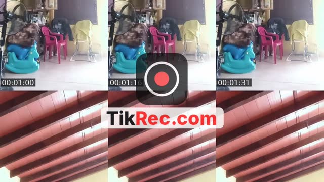 @jazminacosta161 TikTok live