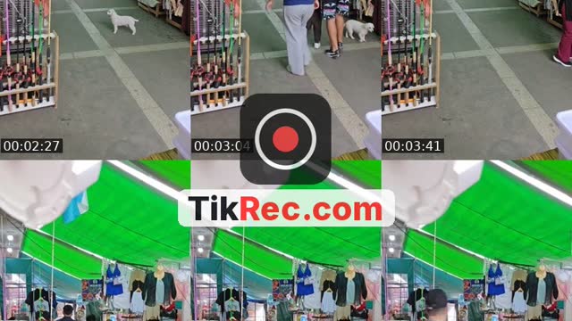 @el_sabor_queteenloquece6 TikTok live