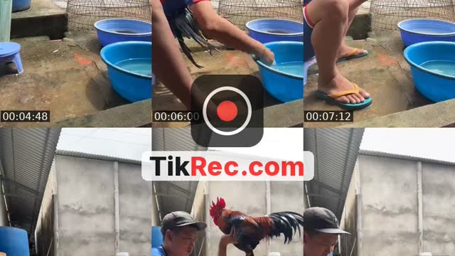 @ch.bc.bn.tre TikTok live