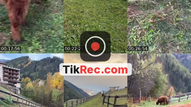 @alpen.ranch.cowboy TikTok live