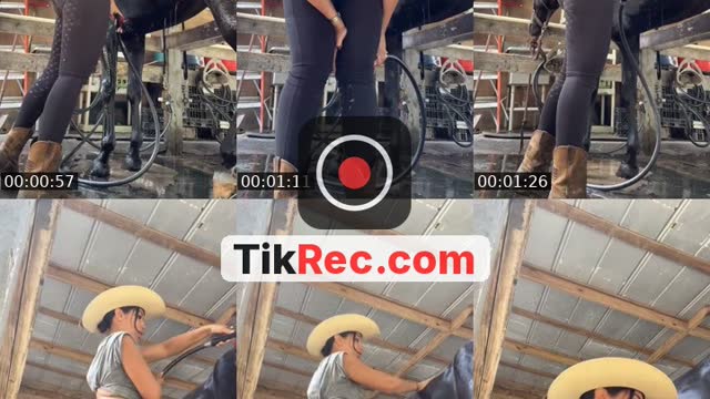 @janelleesoto TikTok live