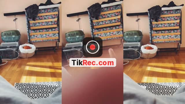 @owen.724 TikTok live
