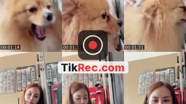 @nitacoazz4p TikTok live