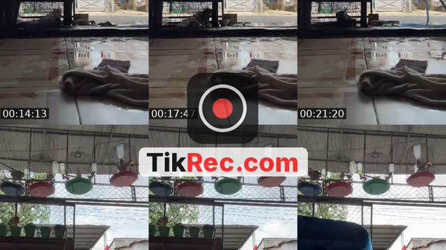 @tringuyen12344321 TikTok live