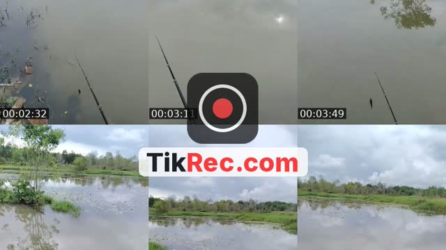 United States TikTok live: meruan by @di_nell_