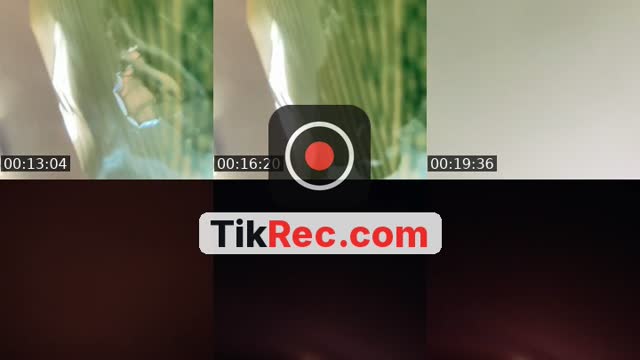 @sallyvixen0 United States TikTok live from 2026-10-25