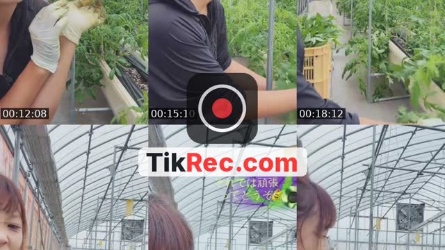 @aotan.27 TikTok live