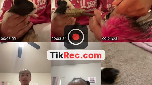 @thatgirllgallery5_ TikTok live