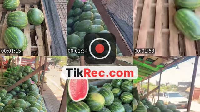 @lujangonzalez79 TikTok live